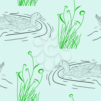 Royalty Free Clipart Image of a Ducks Swimming 