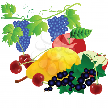 Royalty Free Clipart Image of a Bunch of Fruit