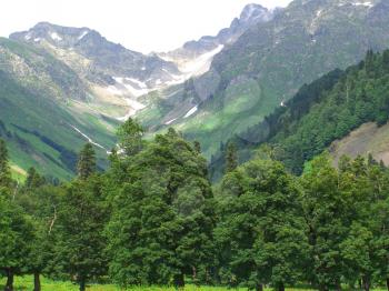 beautiful green mountain landscape