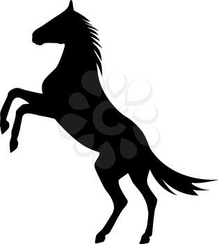 rearing up horse  vector silhouette