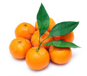 Ripe tangerines or mandarin with leaf isolated on white background