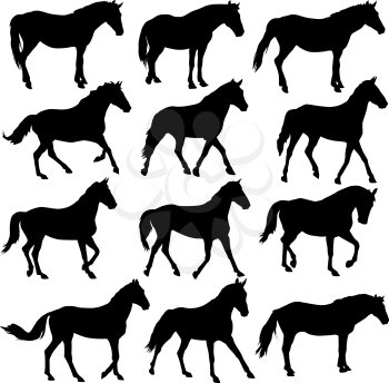 Set vector silhouette of horse