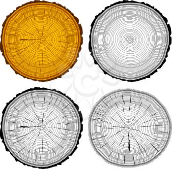 Set tree rings saw cut tree trunk background. Vector illustration.