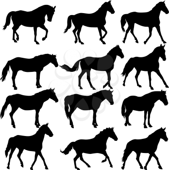 Set  silhouette of horse. vector illustration.