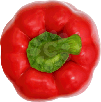 Red sweet  bell pepper isolated on white background. Vector illustration.