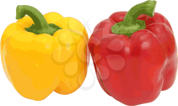 Red and yellow sweet  bell pepper isolated on white background. Vector illustration.