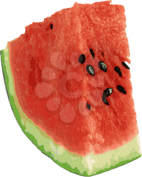 Sliced ripe watermelon isolated on white background. Vector illustration.