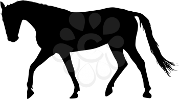 silhouette of black mustang horse vector illustration.