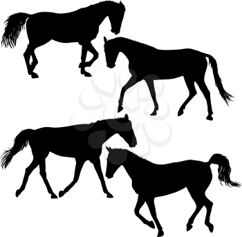 Set silhouette of black mustang horse vector illustration.