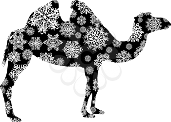 Christmas card camel in snowflakes on a white background.