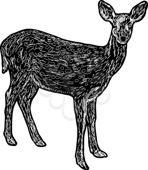 Silhouette of the deer on a white background.