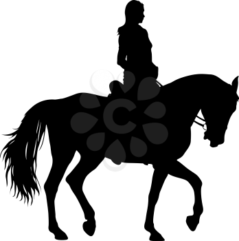 The black silhouette of horse and jockey.
