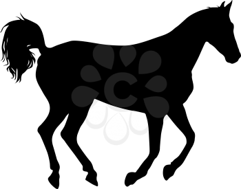 Animal silhouette of black mustang horse illustration.
