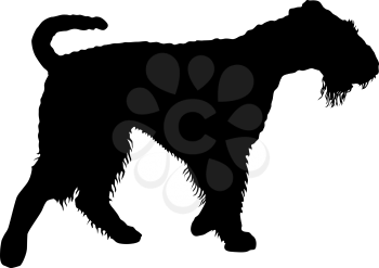 Airedale terrier dog silhouette on a white background.