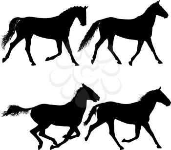 Set animal silhouette of black mustang horse illustration.
