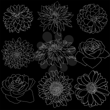 Beautiful monochrome sketch, black and white flower isolated.