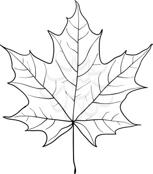 Sketches silhouettes leaves on white background illustration.