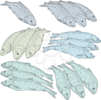 collection of natural marine fish sketch on white background.