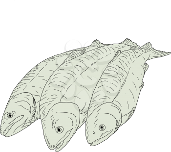 collection of natural marine fish sketch on white background.