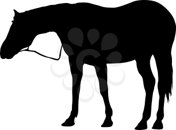 silhouette of black mustang horse vector illustration