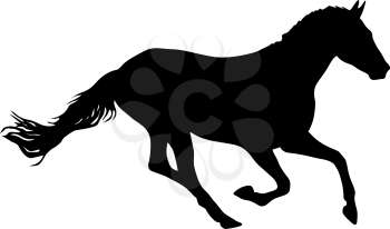 Silhouette of black mustang horse on white background.