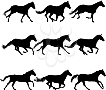 Set silhouette of black mustang horse on white background.