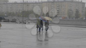 Two girls walking under one umbrella in a park along the waterfront.