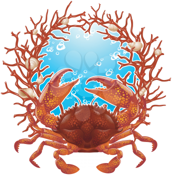 Royalty Free Clipart Image of a Crab and Coral