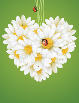 Royalty Free Clipart Image of a Camomile Heart