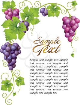 Royalty Free Clipart Image of a Grape Element