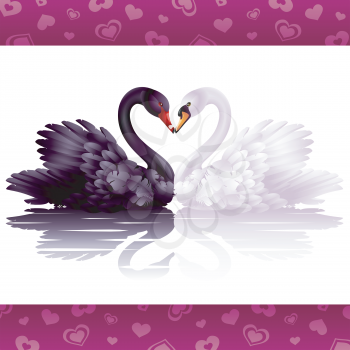 Royalty Free Clipart Image of Swans in Love