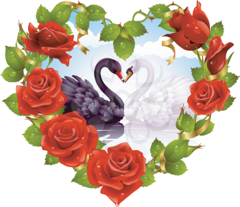 Royalty Free Clipart Image of Swans in love