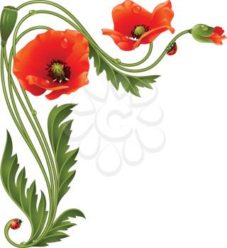 Royalty Free Clipart Image of Poppies