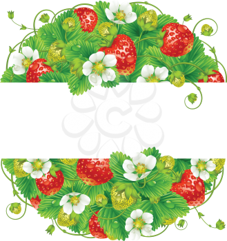 Vector strawberry round frame. Circle composition of ripe red berries