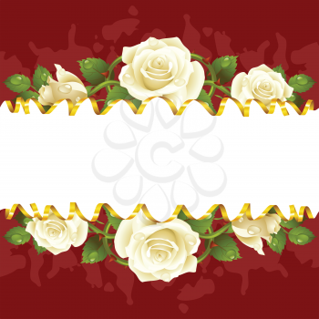 Vector horizontal frame whith white roses and golden ribbon