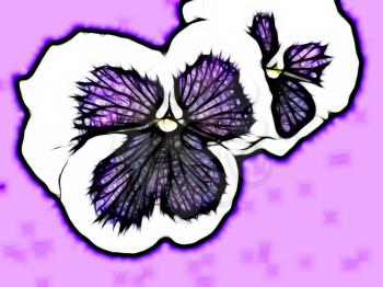 Royalty Free Photo of Purple Pansies