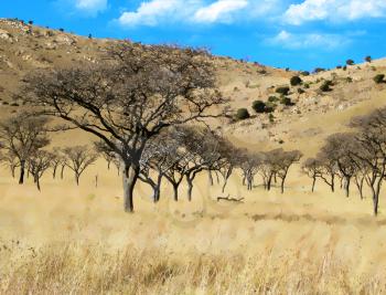 Royalty Free Photo of Leafless Dry Trees 