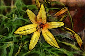Royalty Free Photo of a Painting of a Lily
