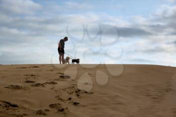 Semi Silhouetted Picture of Boy Standing with Dogs On Dune