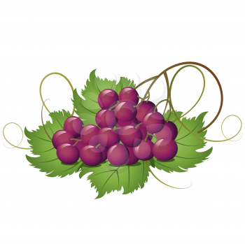 Royalty Free Clipart Image of Grapes on a Leaf