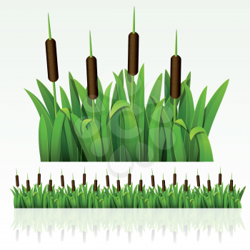 Royalty Free Clipart Image of Grass and Cattails