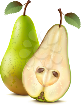 Two pears on a white background. Mesh.