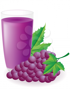 blue grape juice vector illustration isolated on white background