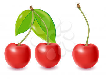 Royalty Free Clipart Image of a Cherries 