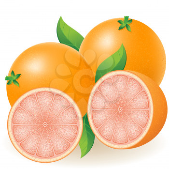 Royalty Free Clipart Image of Grapefruits