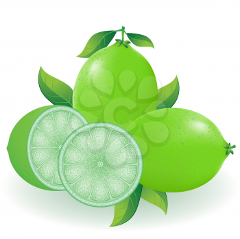 Royalty Free Clipart Image of a Lime