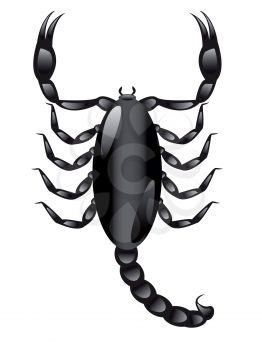 Royalty Free Clipart Image of a Scorpion 