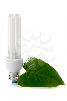 lightbulb and green leaf isolated on white background