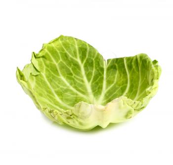 cabbage leaf isolated on white background