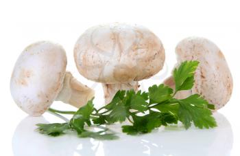 champignon mushroom and parsley isolated on white background